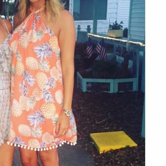 Crescent Dresses & Skirts - 🍍Worn ONCE pineapple dress 🍍